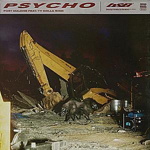 Psycho Cover