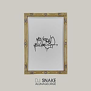 Dj Snake & Aluna George - You Know You Like It