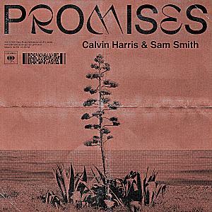 Calvin Harris feat. Sam Smith - Promises