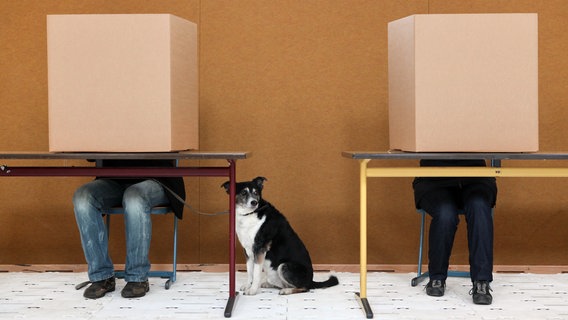 Zu sehen sind zwei Menschen in Wahlkabinen mit einem Hund. © picture alliance / dpa Foto: Bodo Marks